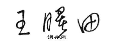 骆恒光王曙田草书个性签名怎么写