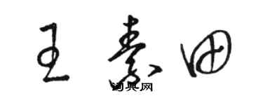 骆恒光王素田草书个性签名怎么写