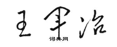 骆恒光王军冶草书个性签名怎么写