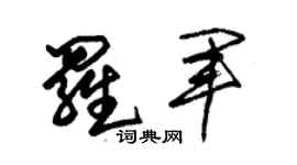 朱锡荣罗军草书个性签名怎么写