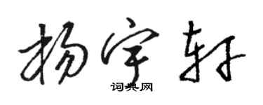 骆恒光杨宇轩草书个性签名怎么写