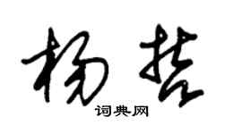 朱锡荣杨哲草书个性签名怎么写