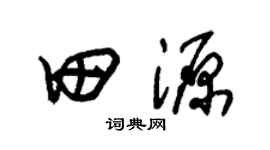 朱锡荣田源草书个性签名怎么写