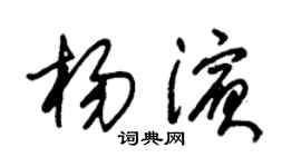 朱锡荣杨滨草书个性签名怎么写