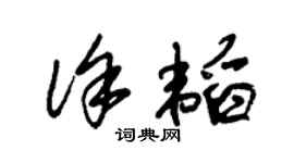 朱锡荣徐韬草书个性签名怎么写