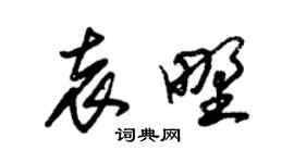 朱锡荣袁野草书个性签名怎么写