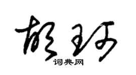 朱锡荣胡珂草书个性签名怎么写