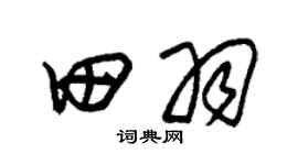 朱锡荣田羽草书个性签名怎么写