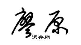 朱锡荣廖原草书个性签名怎么写