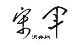 骆恒光宋军草书个性签名怎么写