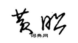 朱锡荣黄昭草书个性签名怎么写