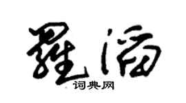 朱锡荣罗滔草书个性签名怎么写