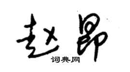 朱锡荣赵昂草书个性签名怎么写