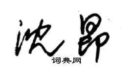 朱锡荣沈昂草书个性签名怎么写