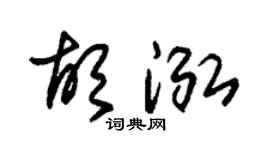 朱锡荣胡泓草书个性签名怎么写