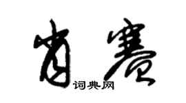 朱锡荣肖赛草书个性签名怎么写