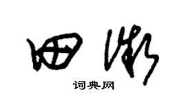 朱锡荣田微草书个性签名怎么写