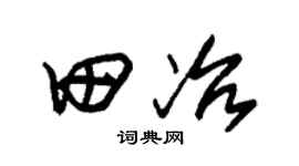 朱锡荣田冶草书个性签名怎么写