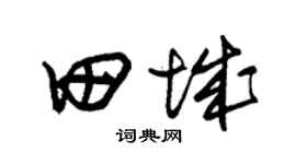 朱锡荣田城草书个性签名怎么写