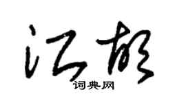 朱锡荣江胡草书个性签名怎么写