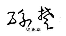 朱锡荣孙楚草书个性签名怎么写