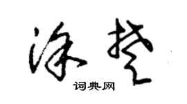 朱锡荣涂楚草书个性签名怎么写