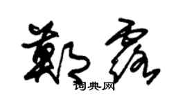 朱锡荣郑露草书个性签名怎么写