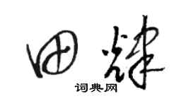 骆恒光田辉草书个性签名怎么写