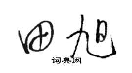 骆恒光田旭草书个性签名怎么写