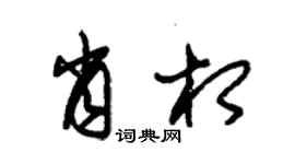 朱锡荣肖相草书个性签名怎么写