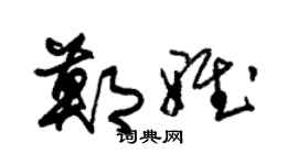 朱锡荣郑雅草书个性签名怎么写