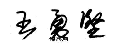 朱锡荣王勇坚草书个性签名怎么写