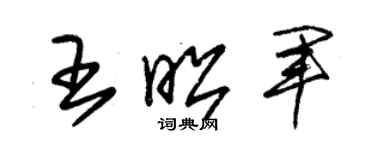 朱锡荣王昭军草书个性签名怎么写