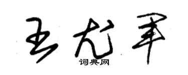 朱锡荣王尤军草书个性签名怎么写