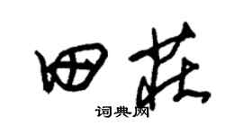 朱锡荣田庄草书个性签名怎么写