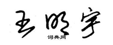 朱锡荣王明宇草书个性签名怎么写