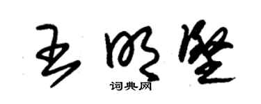 朱锡荣王明坚草书个性签名怎么写