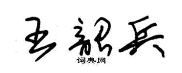 朱锡荣王韶兵草书个性签名怎么写