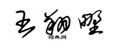 朱锡荣王翔野草书个性签名怎么写