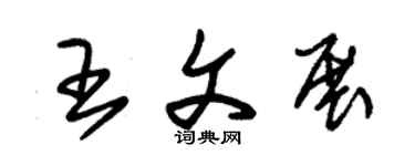 朱锡荣王文展草书个性签名怎么写