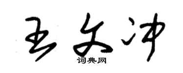 朱锡荣王文冲草书个性签名怎么写