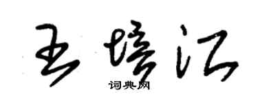 朱锡荣王培江草书个性签名怎么写