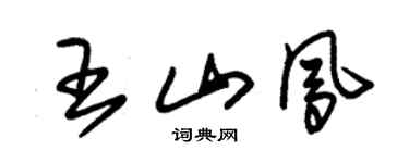 朱锡荣王山凤草书个性签名怎么写