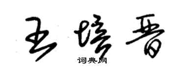 朱锡荣王培晋草书个性签名怎么写