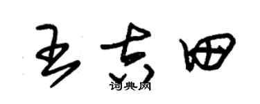 朱锡荣王吉田草书个性签名怎么写