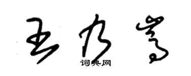 朱锡荣王乃嵩草书个性签名怎么写