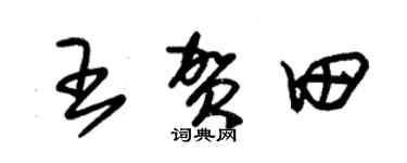 朱锡荣王贺田草书个性签名怎么写