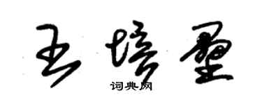 朱锡荣王培垒草书个性签名怎么写