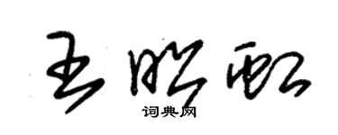 朱锡荣王昭虹草书个性签名怎么写