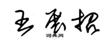 朱锡荣王展招草书个性签名怎么写